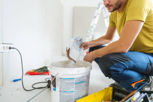 Best Dehumidification Services  in Ladd, IL