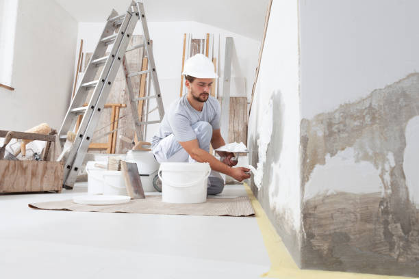 Best Mold Remediation for Healthcare Facilities  in Ladd, IL