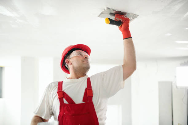 Best Asbestos and Lead Testing During Mold Inspection  in Ladd, IL