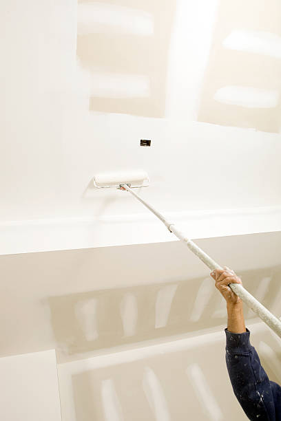 Best Post-Construction Mold Inspection  in Ladd, IL