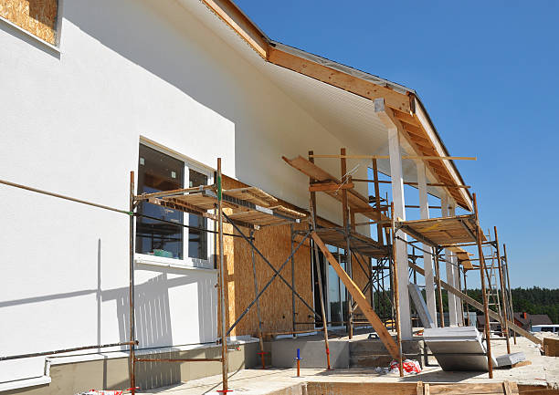 Best Water Damage & Mold Remediation  in Ladd, IL