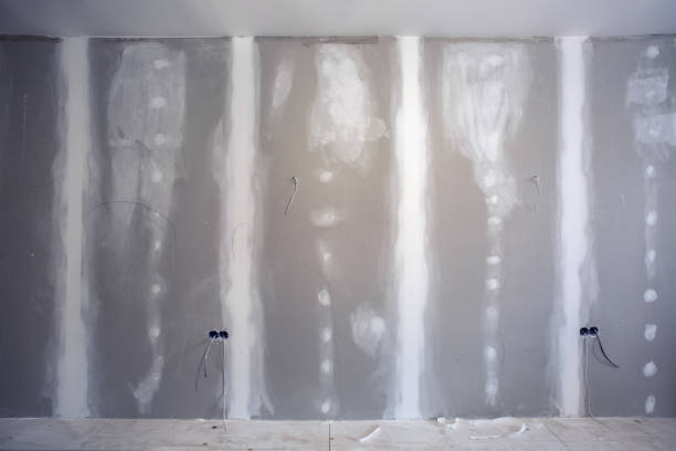 Best Environmental Consulting for Mold Prevention  in Ladd, IL